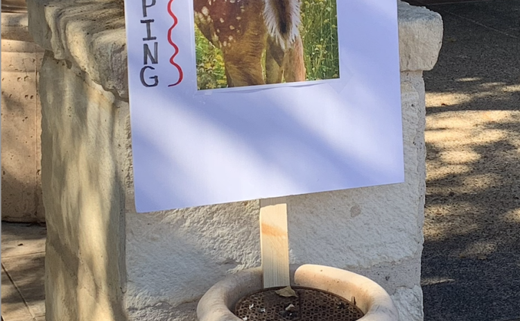 Outside of the Sun City Social Center on November 6, there were signs against the culling of the deer population in the neighborhood. (Photo by Kaitlyn Wilkes)