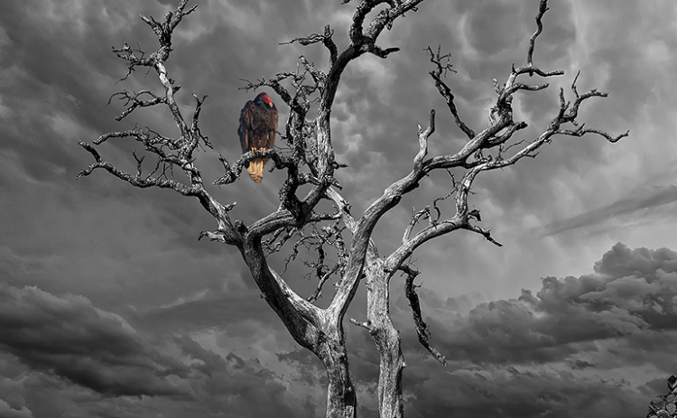 “Texas Storm” image by John Leek on display at Mulligan’s.