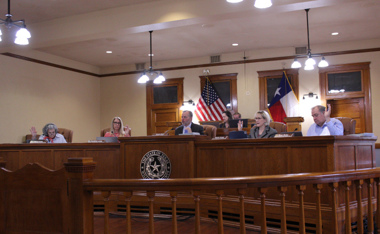 The Williamson County Commissioners Court approves the mid-year creation of a new position for the Elections Department, April 21. Photo by Nalani Nuylan.