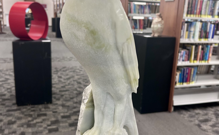 Nick Salome’s “A Hawk of a Different Color” won first place.