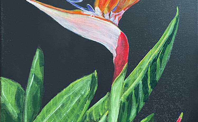 Violet Nicklen’s “Bird of Paradise” is at the WCAG Gallery.