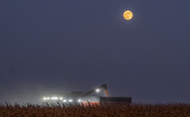 A corn harvest continues under a Full Moon seen along County Road 366 on Tuesday, July 28, 2026.    Photo by Andy Sharp