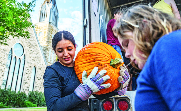 Valentina Sanchez was among the volunteers helping unload more than 3,000 pumpkins at Georgetown First United Methodist Church on Wednesday afternoon, October 8, 2025. The annual pumpkin patch includes 46,000 pounds of pumpkins from the Navajo Nation in New Mexico. Pumpkins are available from early October until Halloween.    Photo by Andy Sharp