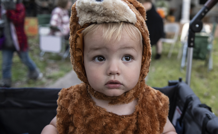 Hunter Bear, 18 months, dressed as a bear (like his actual name) for Halloween night along Main Street in Old Town on Monday, October 31, 2022. (Sun Archive)